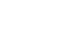 Investor